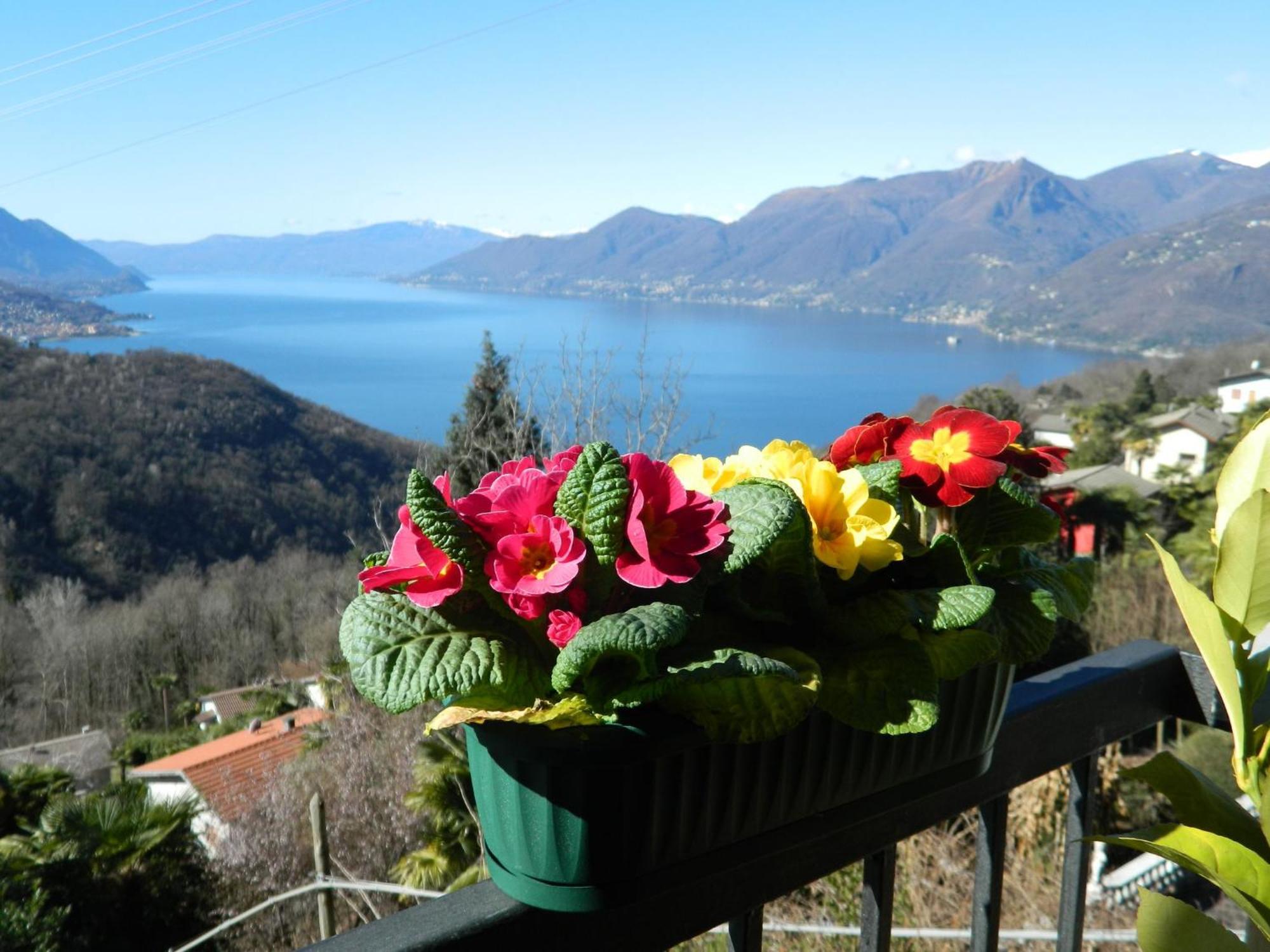 Maggiore House, View, Vignone Apartment Dumenza